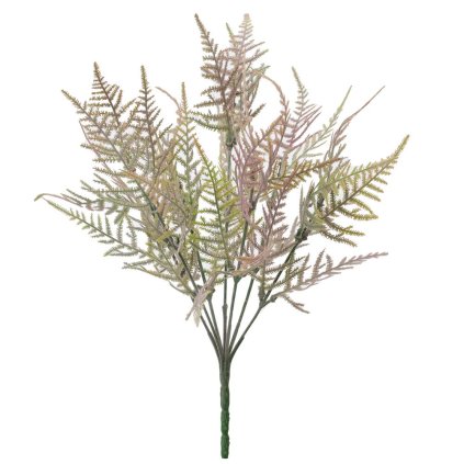 ZÁPICH PAPRAĎ RUŽOVÁ 37CM