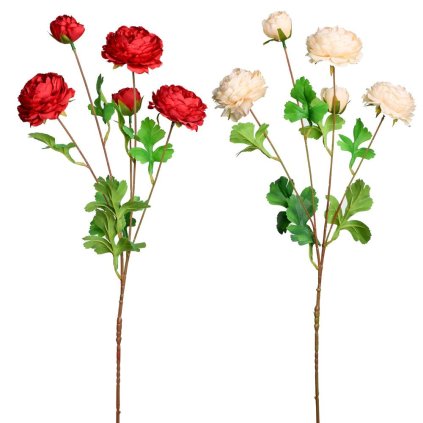 AKCIA! KS RANNUNCULUS 2F 80cm