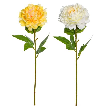 KS PIVÓNIA 2F 60cm SUPER CENA!