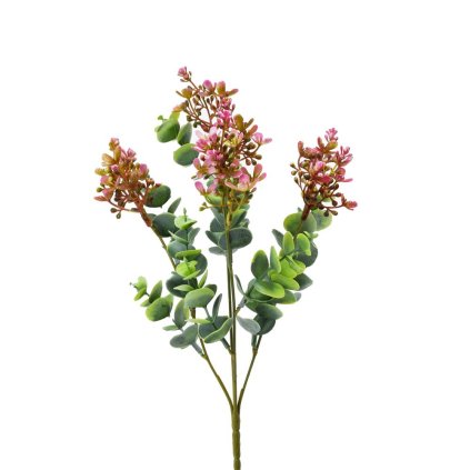 ZELEŇ DROB. LÍSTKY ZELENO-RUŽOVÁ 34CM