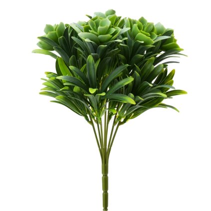 ZELEŇ SUKULENT ZELENO-BIELA 28CM