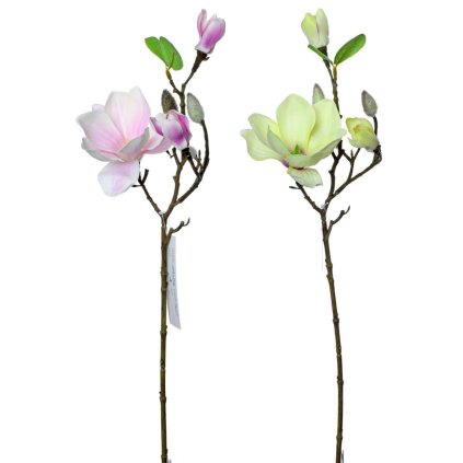 KONÁR MAGNÓLIA 2F 50CM