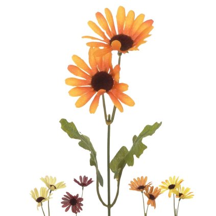 AKCIA! 25020344 KS MARGARÉTKA 5 F 35CM