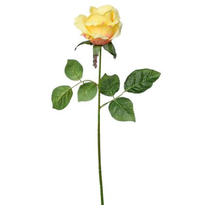 KS RUŽA SV.ORANŽ. 45cm