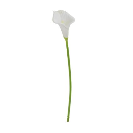 KS CALLA BIELA 34CM