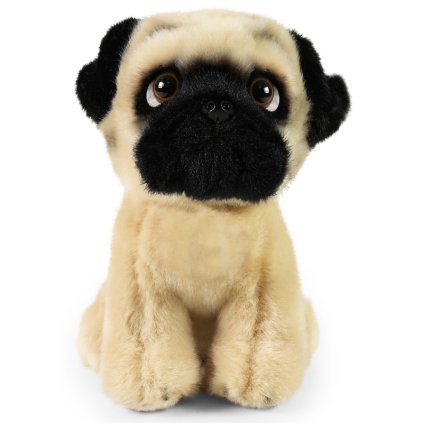 Plyšový pes Mops
