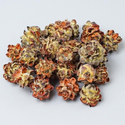 T136 Pubescens small 200G