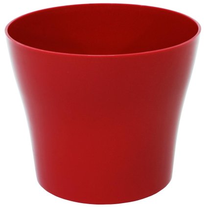 AKCIA OBAL TULIPÁN BORDOVÝ 24xh21CM