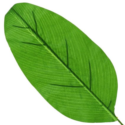 AKCIA! 25FLK1027 LIST 40CM