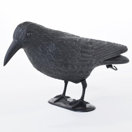 PLAŠIČ VRANA 20/35CM
