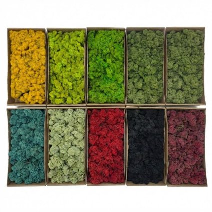 Mach moss preparovaný- box 500g so SOBOM