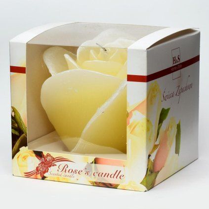 RUŽA MERCI 120/100 ECRU