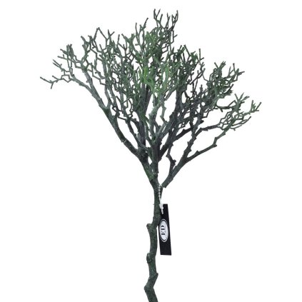 AKCIA! KONÁR ČUČORIEDKA ZELENÝ 37CM