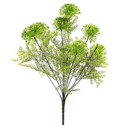 ZÁPICH CESNAK BIELO-ZELENÝ 41CM