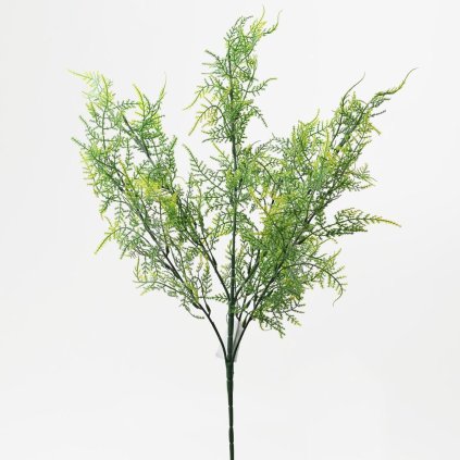 ZÁPICH ZELEŇ TUJA 55CM