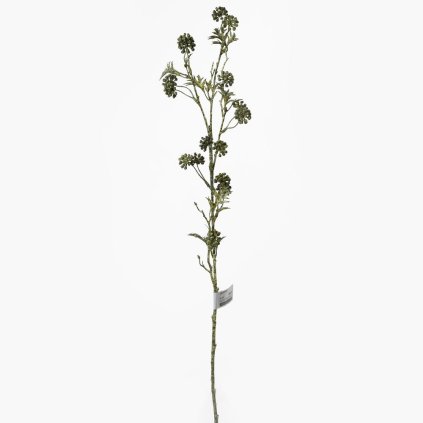 KS ZELEŇ BOBULE ZELENÉ 81CM