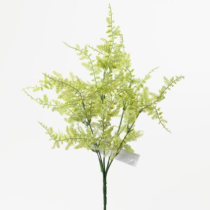 ZÁPICH PAPRAĎ BL.ZELENÁ 36CM