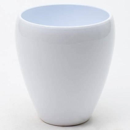 OBAL ORCH.LUNA WHITE 14CM