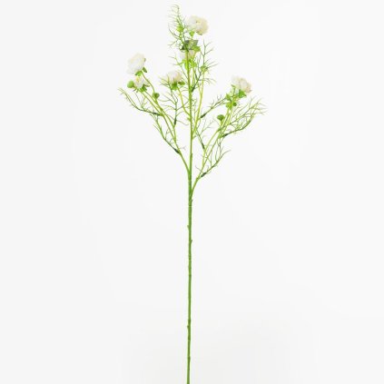 KS RANUNCULUS KRÉM 74CM