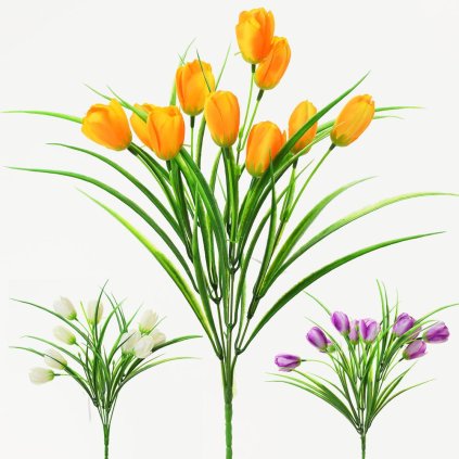 KYTICA KROKUS 3F 34cm