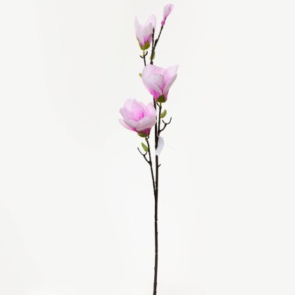 KS MAGNÓLIA BL.RUŽ. 82cm
