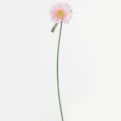 KS GERBERA BL.RUŽOVÁ 45CM