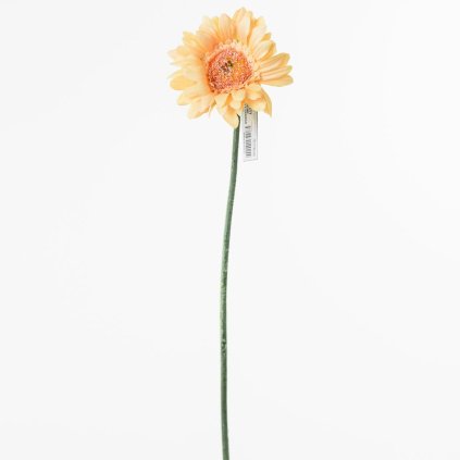 KS GERBERA LOSOSOVÁ 45CM