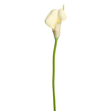 KS CALLA BIELA 35cm