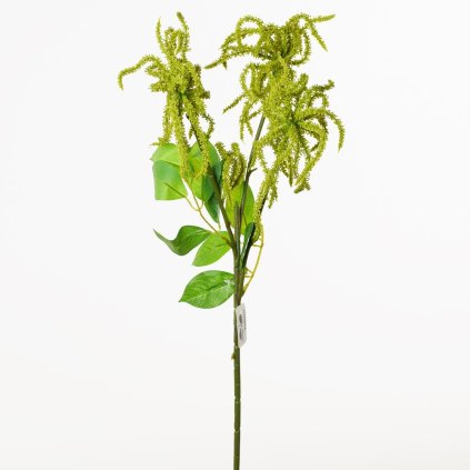 KONÁR AMATANTHUS ZELENÝ 50cm