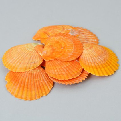 MUŠLE HNEDA BAG SUPER CENA!