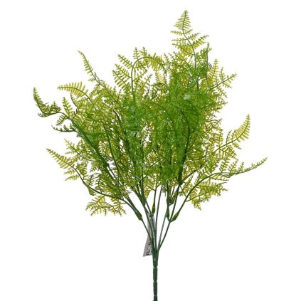 ZÁPICH PAPRAĎ 40CM