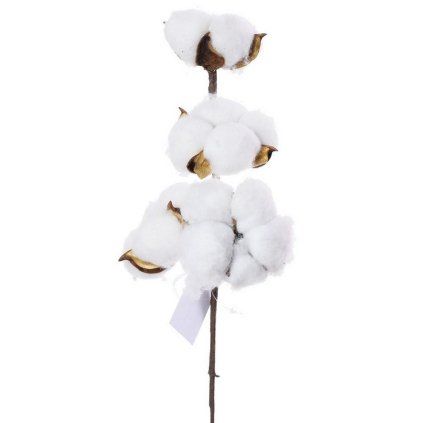 KONÁR BAVLNA MENŠIA 27CM