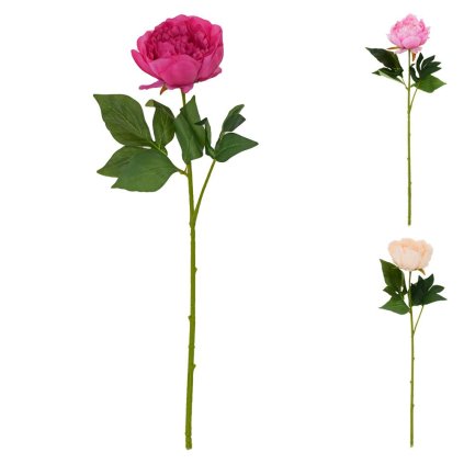 SUPER CENA! KS PIVÓNIA 3F 58cm