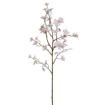 KONÁR ČEREŠŇA SV.RUŽ. 75CM