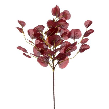 KS EUKALYPTUS BORDO 49CM