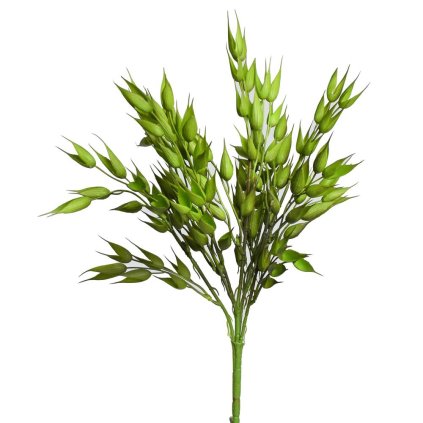 ZÁPICH OVOS ZELENÝ 35CM