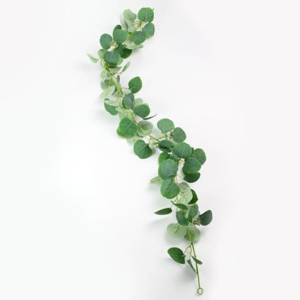 ZELEŇ ŤAHAČKA EUKALYPT 120CM