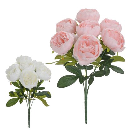 KYTICA PIVONE 2F 43cm