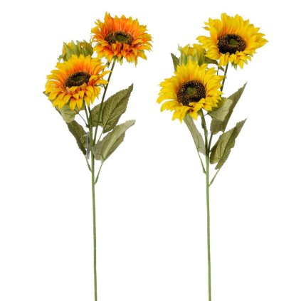 SLNEČNICA KUSOVKA MIX 2F 73CM