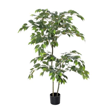 FIKUS ZEL.V PLAST.ČREPNÍKU ZEL. 150CM