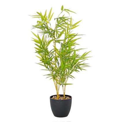 BAMBUS STROM ZEL.80CM