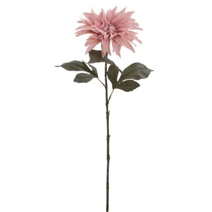 KS DALIA RUŽOVÁ 68CM