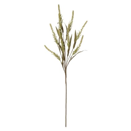 KONÁR SOLIDASTER ZELENÝ 85CM