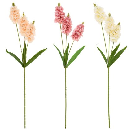 KS MATHIOLA 3 KVETY MIX/3F 76CM