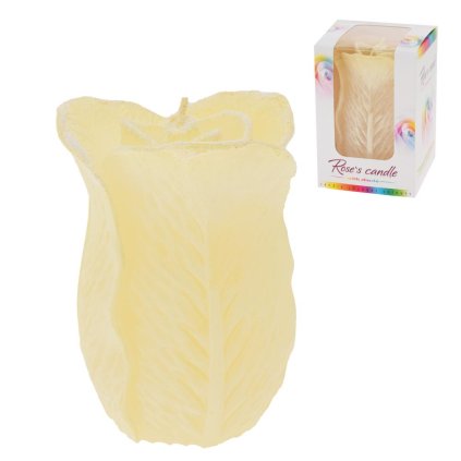 RUŽA VYSOKÁ DIODA ECRU