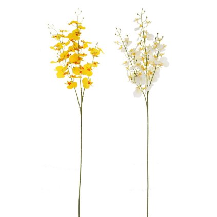 KS ORCHIDEA ONCIDIUM MIX/2F 85CM