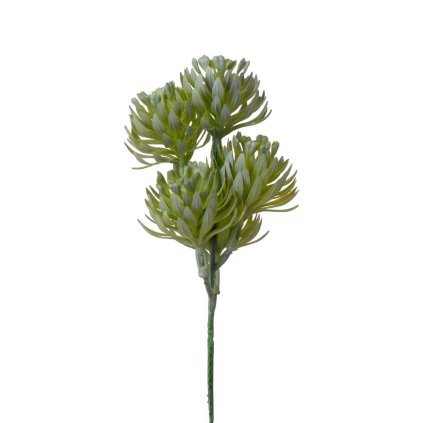 ZÁPICH SUKULENT ZELENO-SIVÁ 18CM