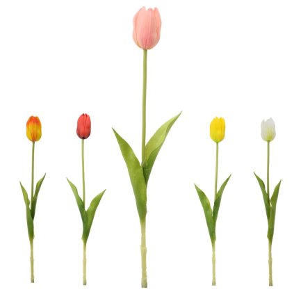 KS TULIPÁN MIX/5F 42CM