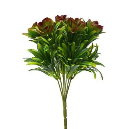 ZELEŇ SUKULENT ZELENO-ČERVENÁ 28CM