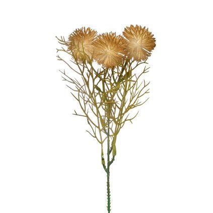 ZÁPICH BODLIAK HNEDÁ 24cm